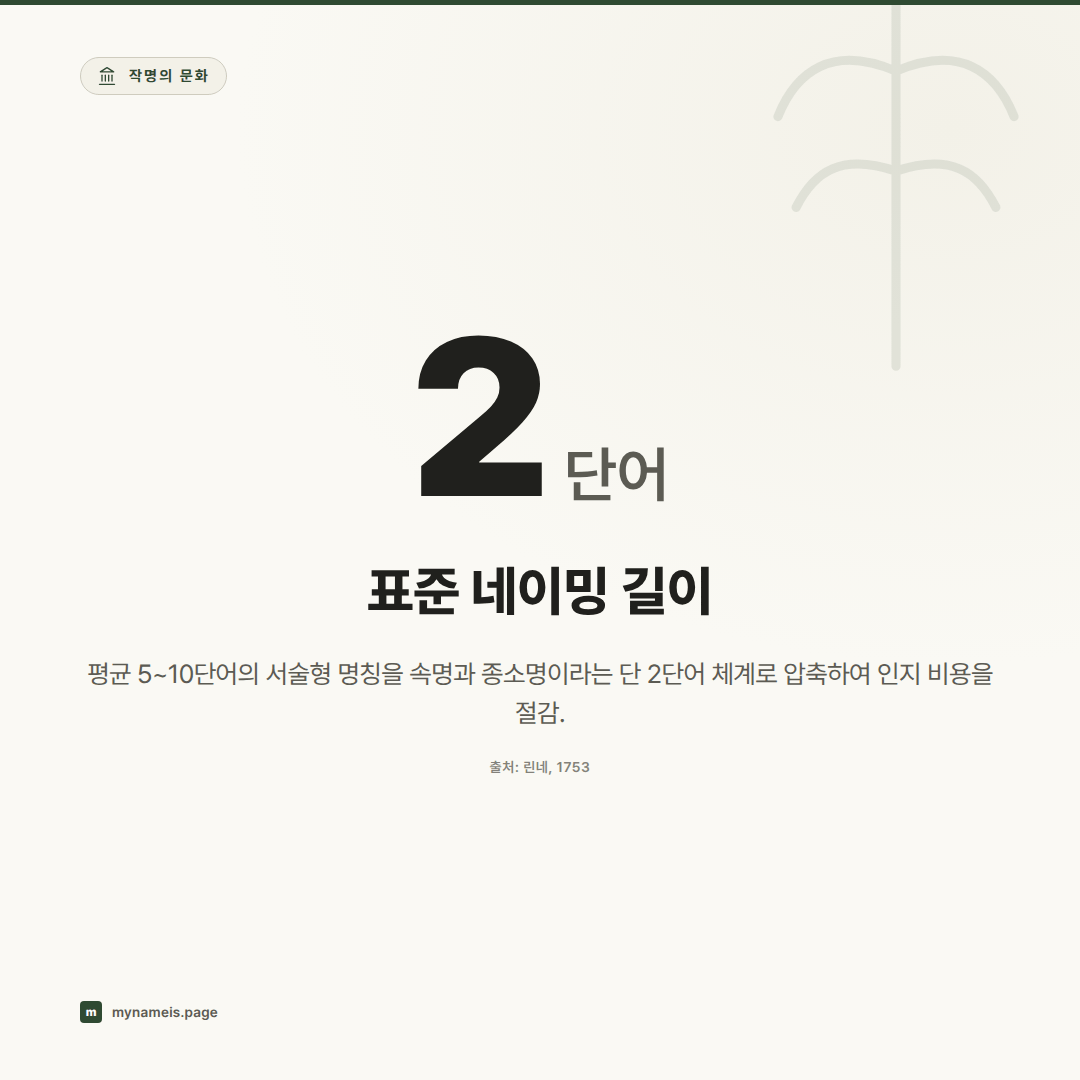 생물학적 이명법에서 배우는 글로벌 브랜드 네이밍 아키텍처: 인지 비용 절감과 체계적 식별 — 핵심 데이터