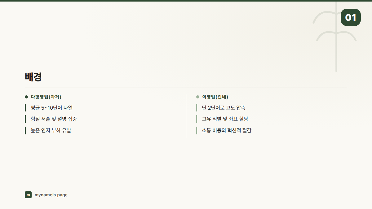 배경 — 섹션 요약