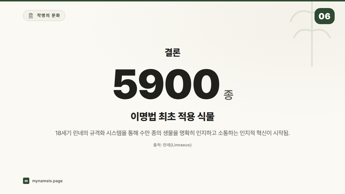 결론 — 섹션 요약