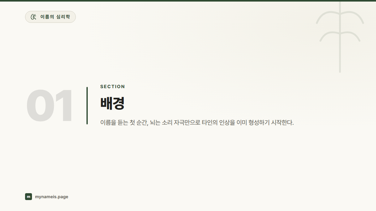 배경 — 섹션 요약