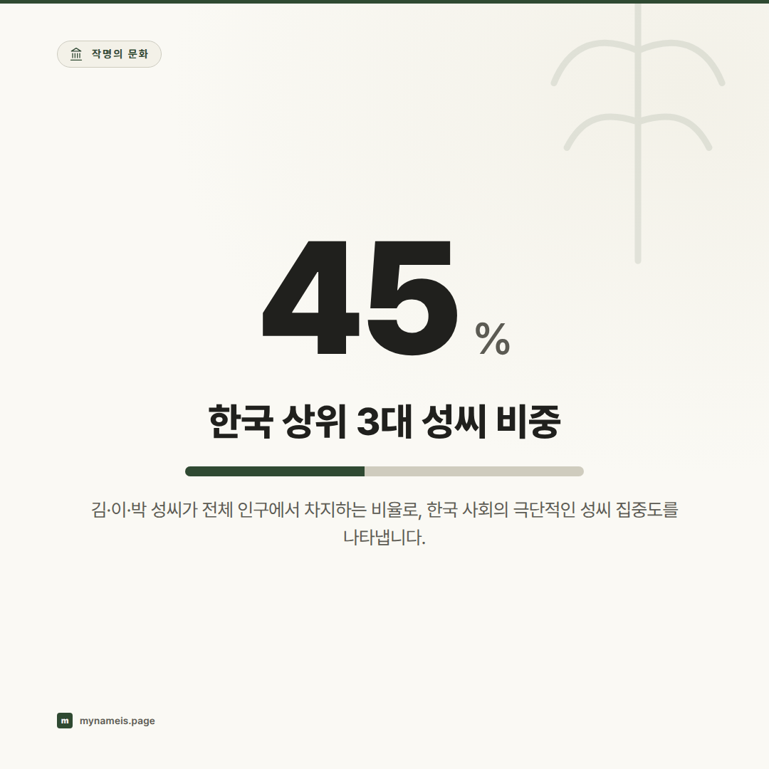 글로벌 작명 관습 비교: 동아시아 3국과 서구의 이름 구조 및 데이터 매칭 과제 — 핵심 데이터