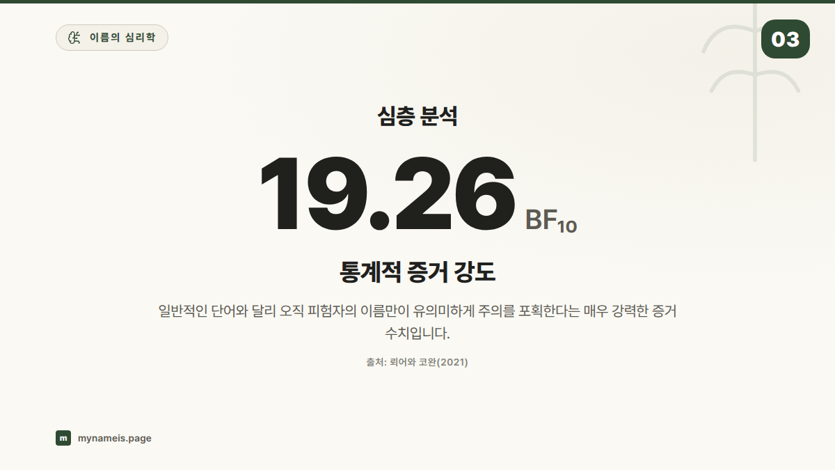 심층 분석 — 섹션 요약