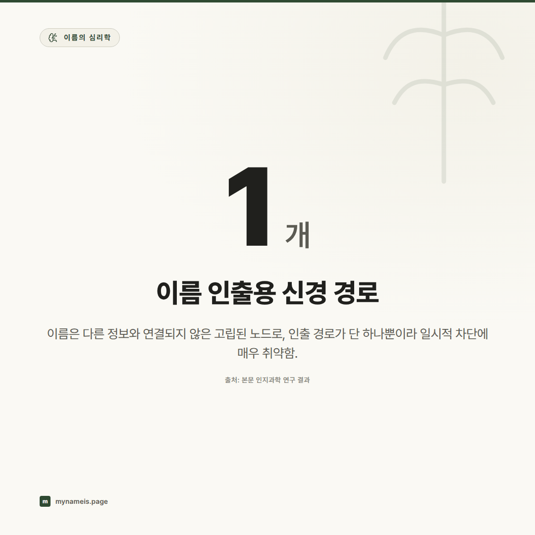 왜 사람 이름은 유독 안 외워질까 — 이름 기억의 인지과학 — 핵심 데이터