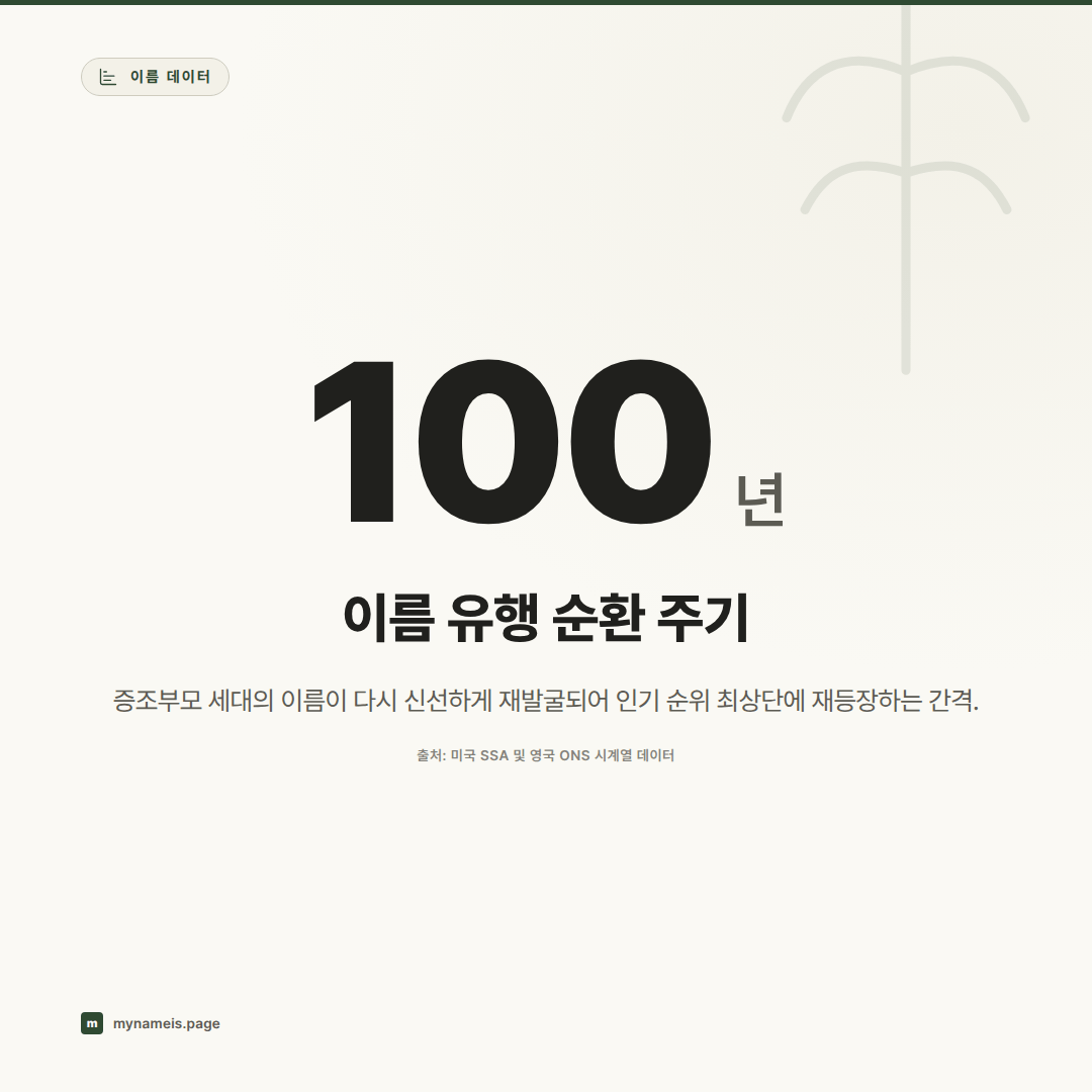1900년부터의 궤적: 영·프·미·뉴질랜드 아기 이름 공개 데이터 커버리지와 구조적 한계 비교 분석 — 핵심 데이터