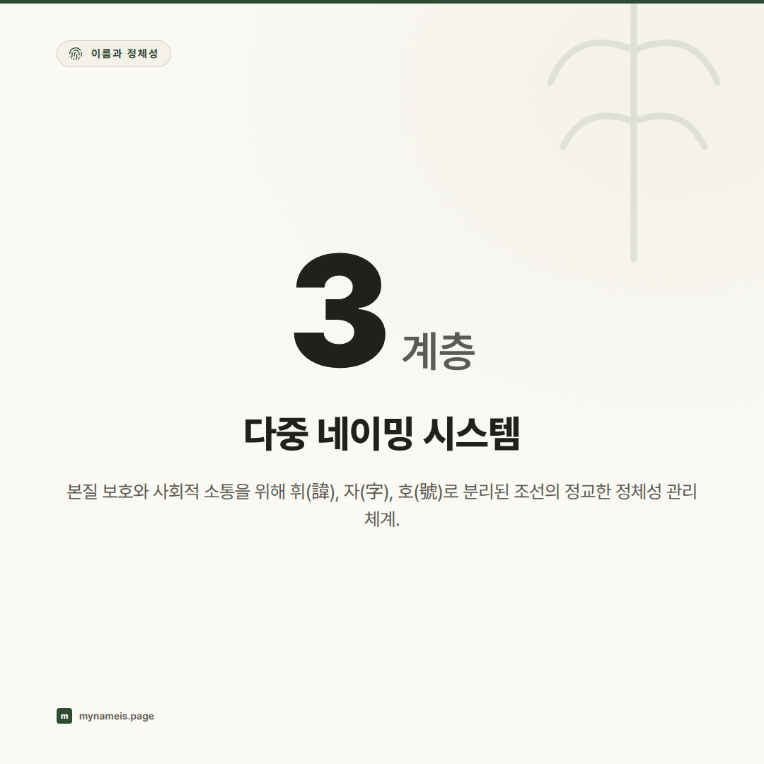 다중 이름 시스템의 심리학과 브랜드 네이밍: 휘(諱), 자(字), 호(號)가 현대 정체성에 던지는 질문 — 핵심 데이터